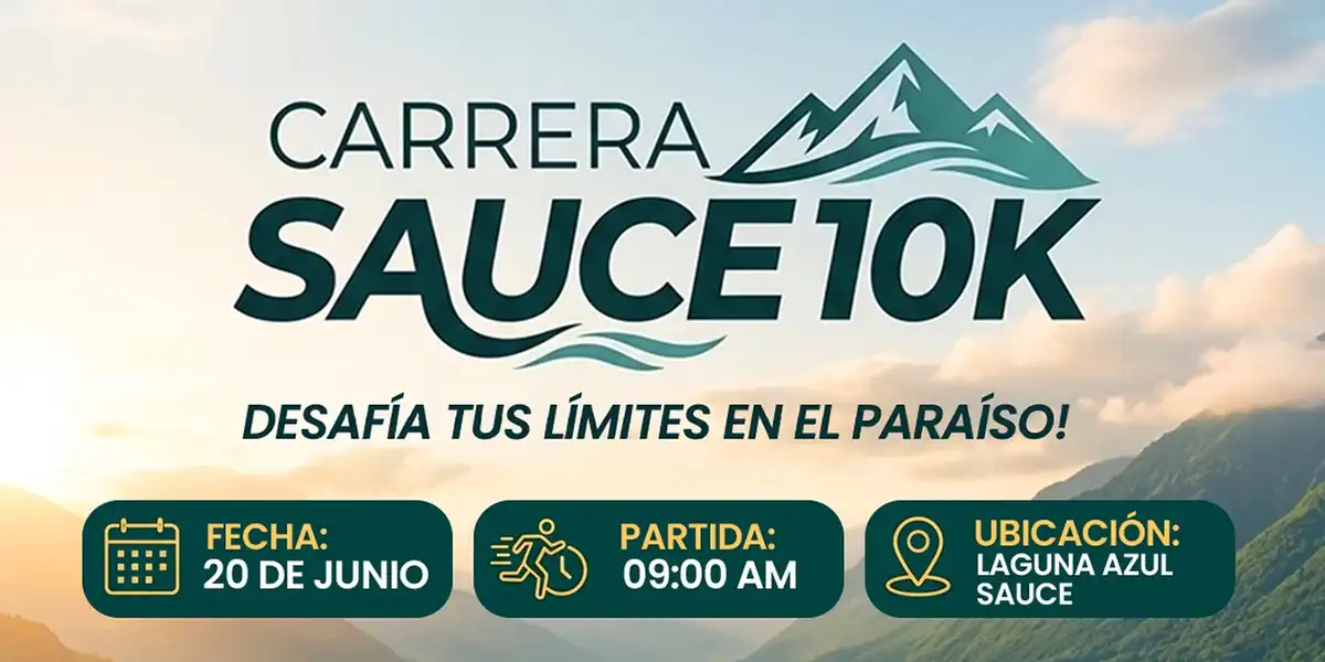 Carrera Sauce 2026 Carrera Sauce 2026